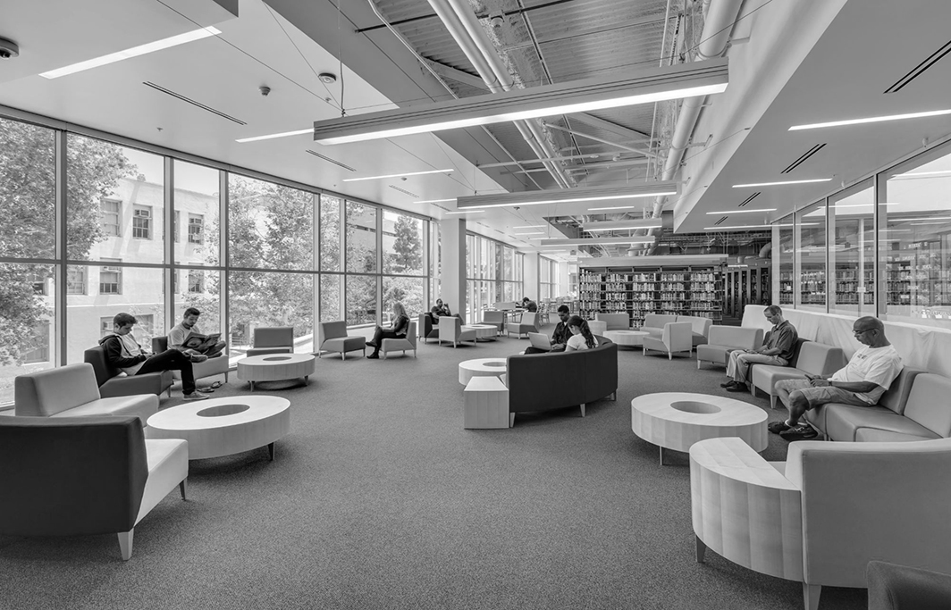 LACCD 3 1064 x 683 bw