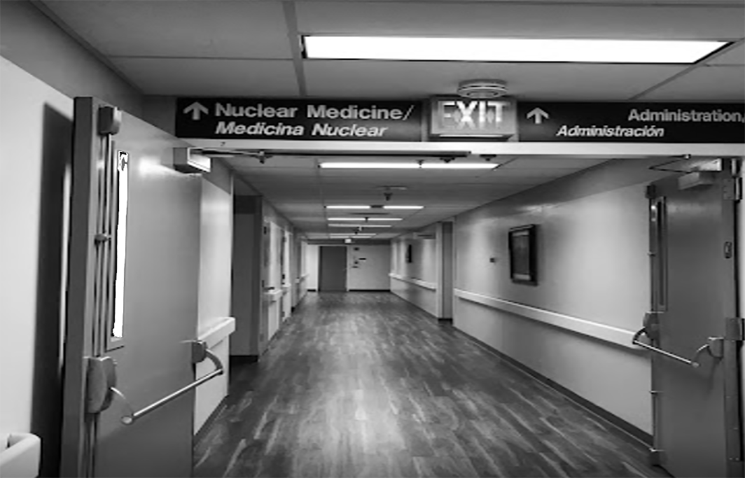 Olive View 3 bw 1064 x 683